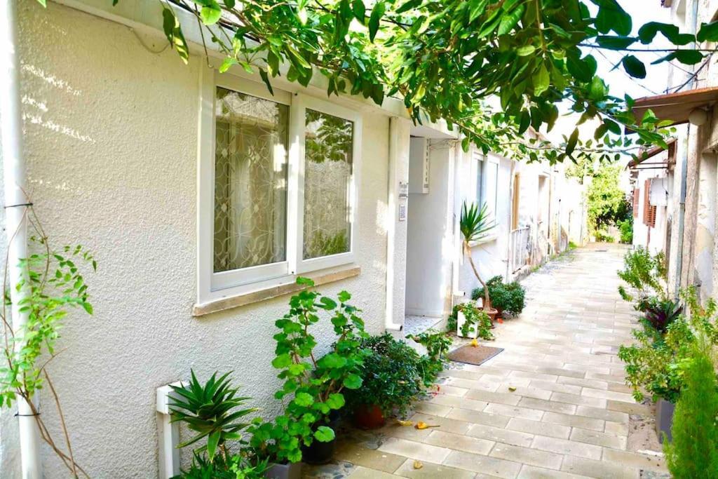 פמגוסטה Templar Guesthouse מראה חיצוני תמונה